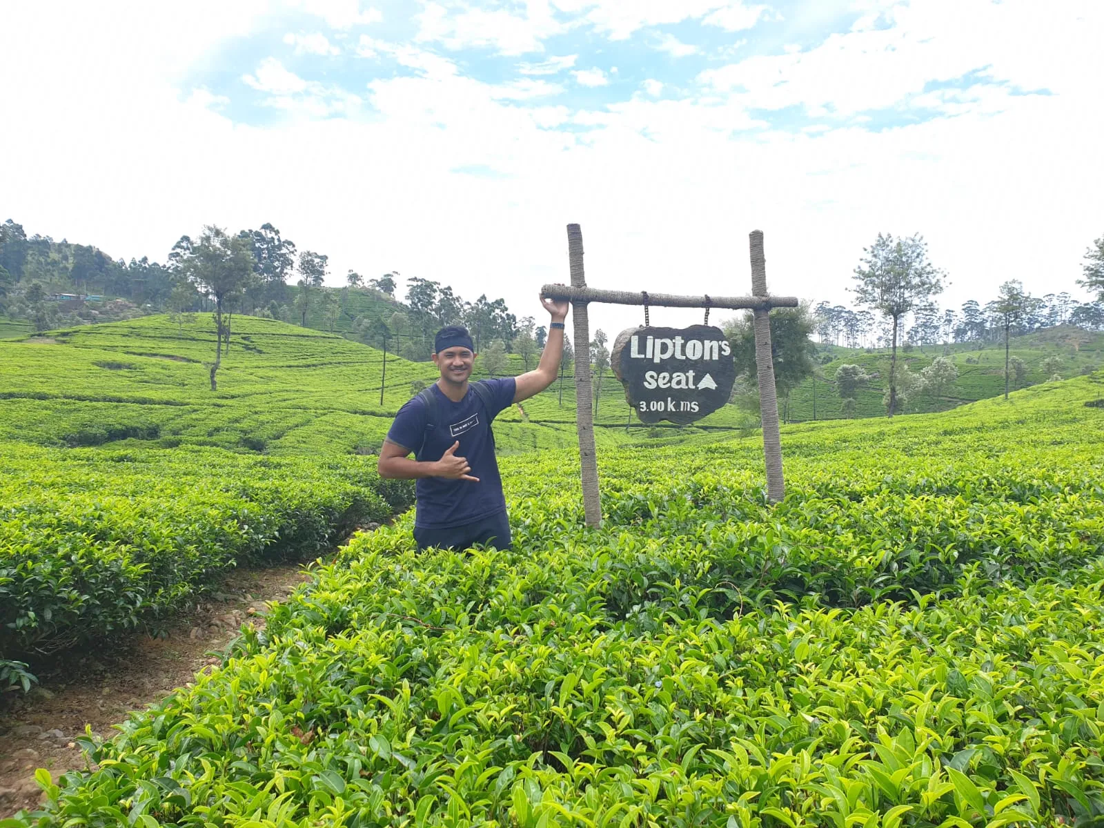 Tea plantation trail near Ella and Haputale